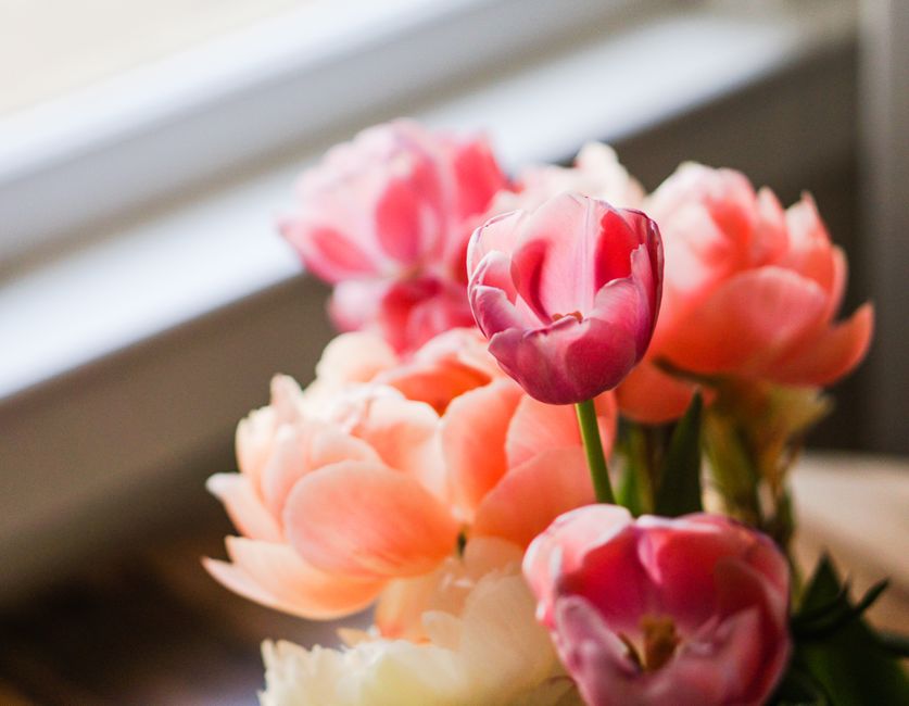 Bouquets de saison : quelles fleurs au printemps ?