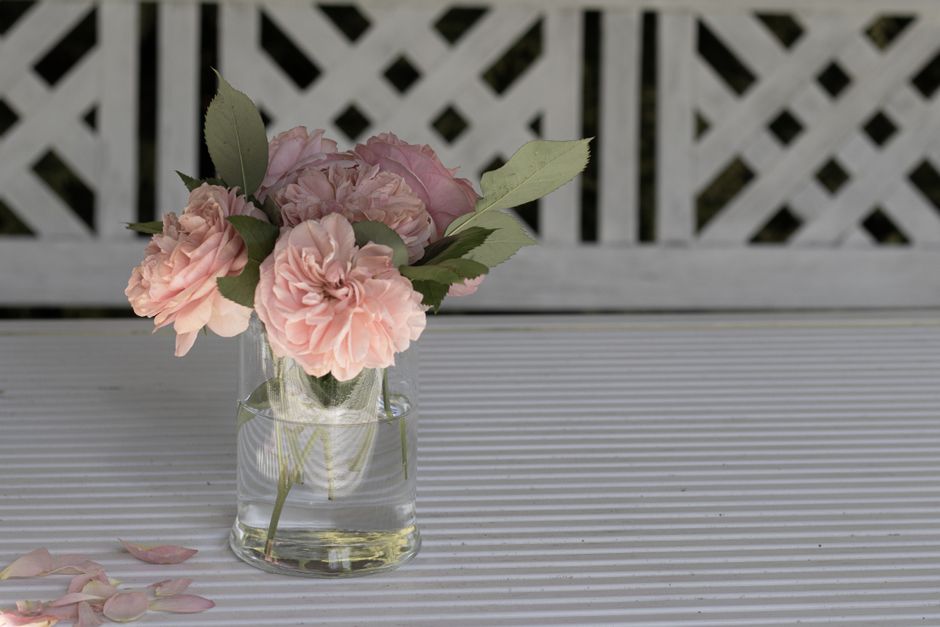 Entretenir un bouquet pour le faire durer plus longtemps