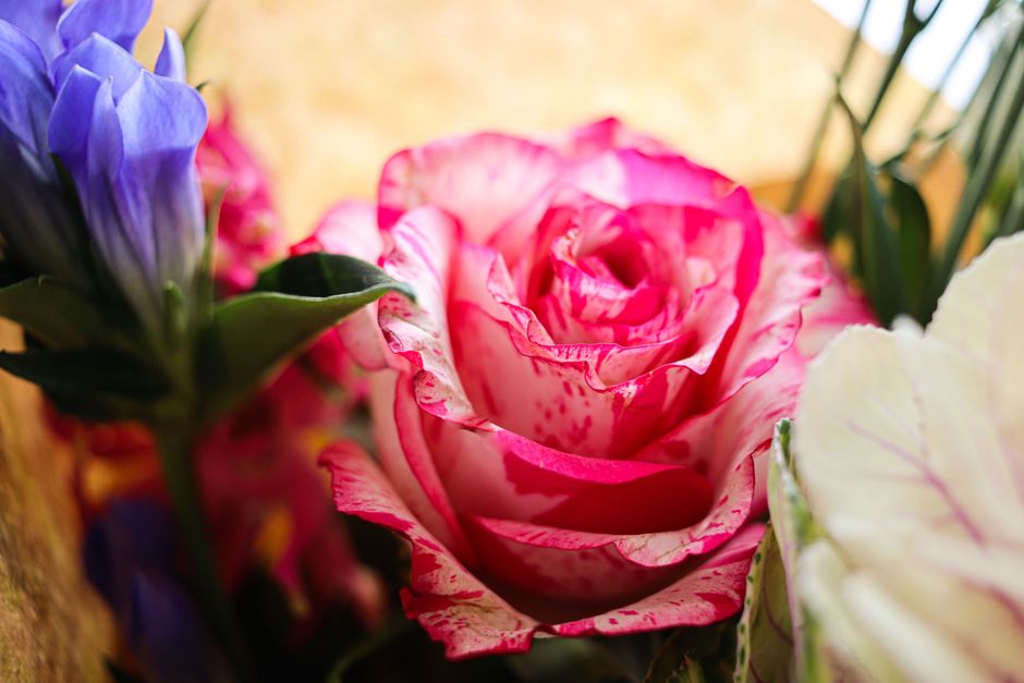 Comment choisir des fleurs selon leur signification