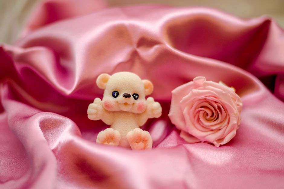 Ours en roses : à qui l’offrir et pour quelle occasion ?